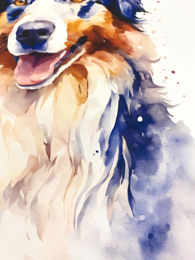 Amazon.co.jp: 004 オーストラリアンシェパード 犬アート インテリア